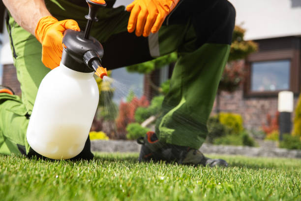 Best Bed Bug Extermination  in Montgomery Village, MD