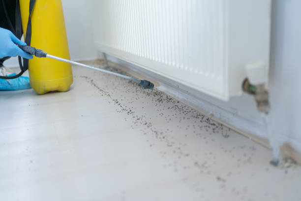 Best Best Pest Control Companies  in Montgomery Village, MD